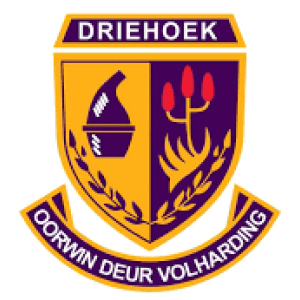 Hoërskool Driehoek